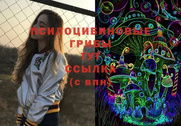 дурь Алексин