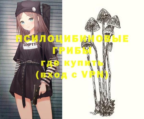 дурь Алексин