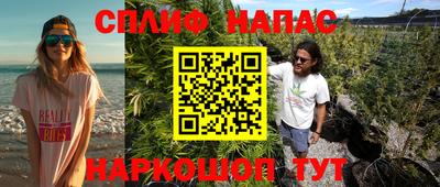 индика Обь
