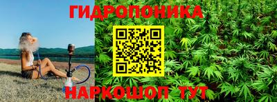индика Обь