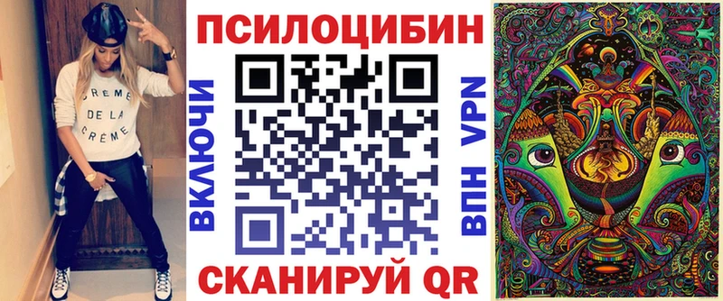 Псилоцибиновые грибы Psilocybine cubensis  закладки  Балашов 