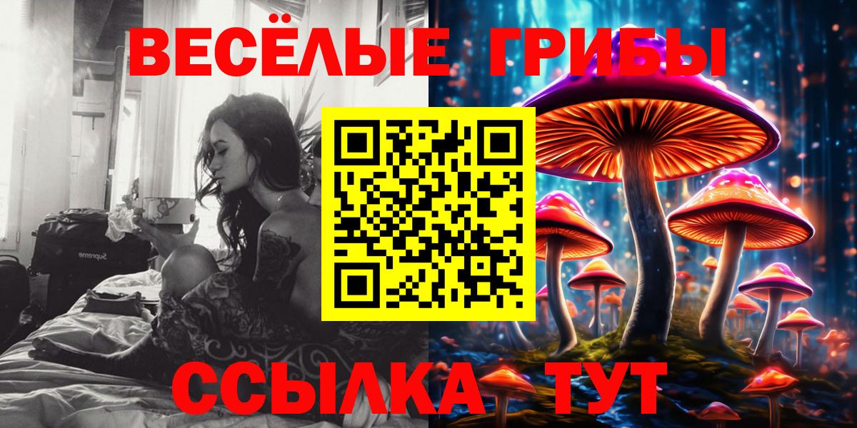 Галлюциногенные грибы GOLDEN TEACHER Балашов